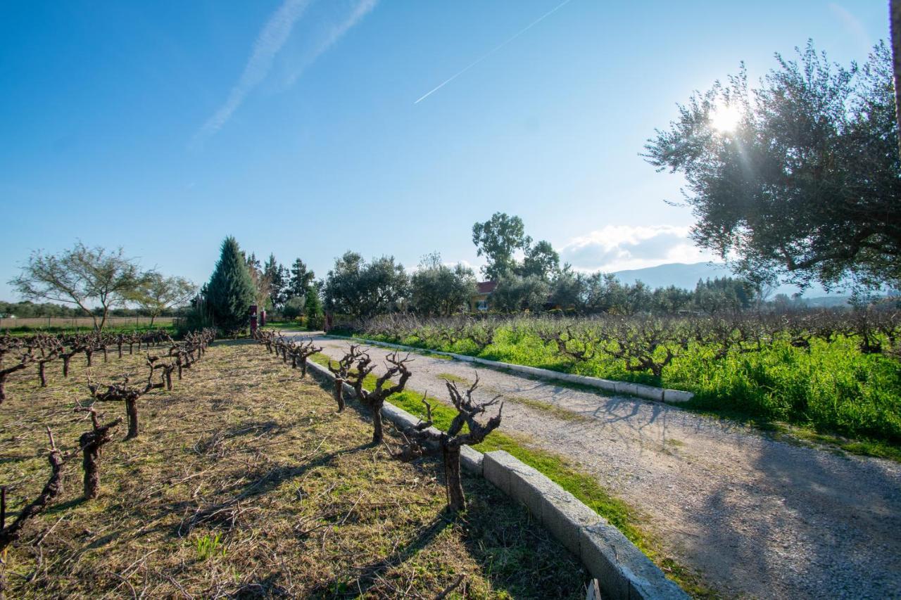 Loukas Farm House Áyios Kírikos Exterior foto