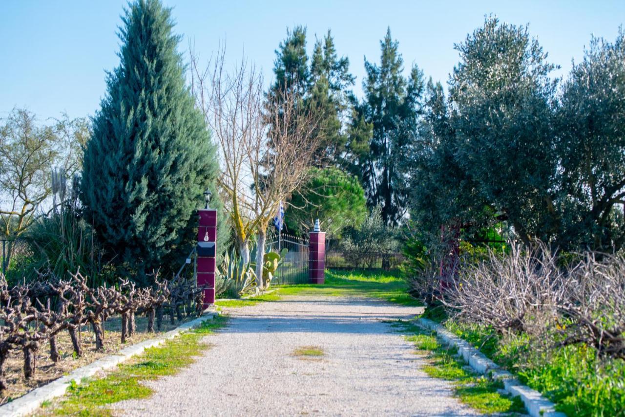 Loukas Farm House Áyios Kírikos Exterior foto