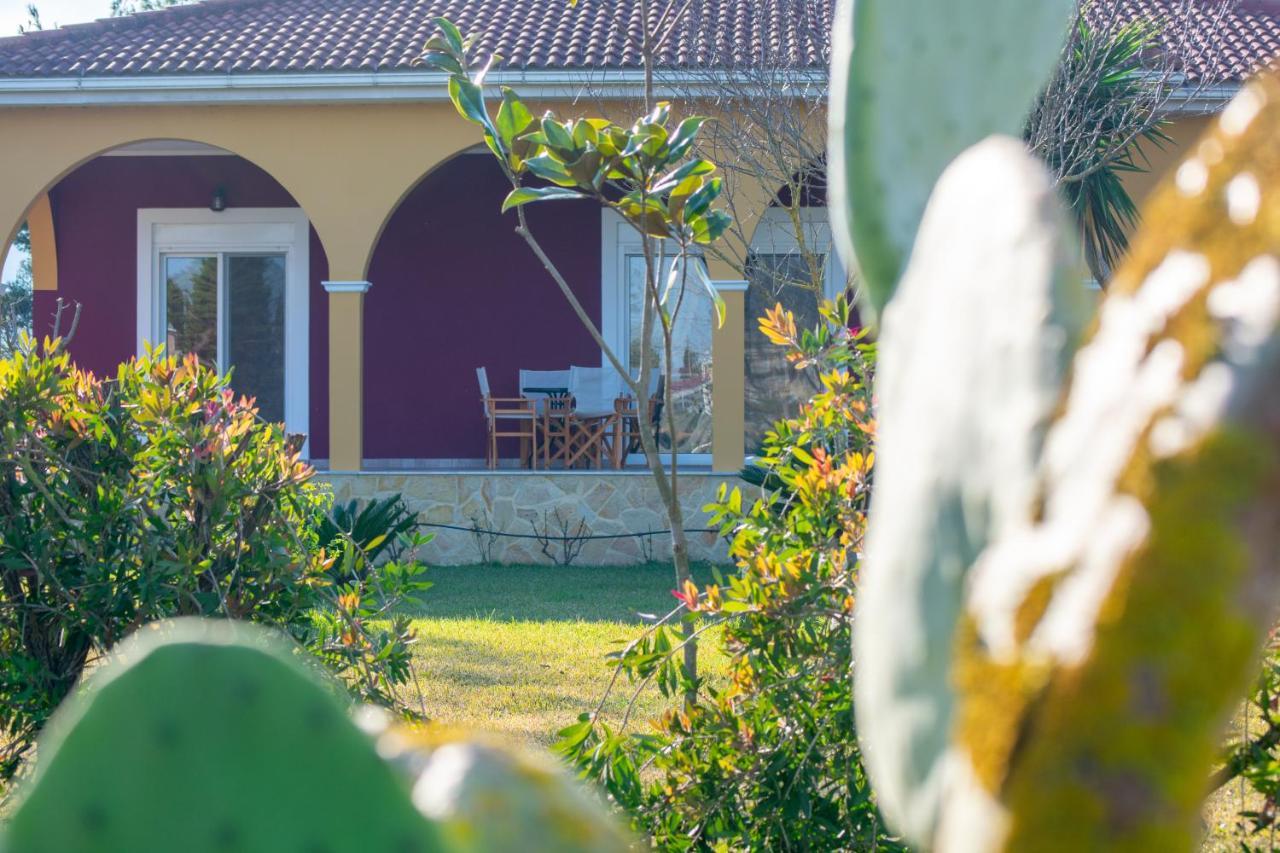 Loukas Farm House Áyios Kírikos Exterior foto